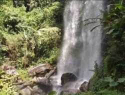 Jelajahi Keindahan Air Terjun Pulo Agung di Bondowoso