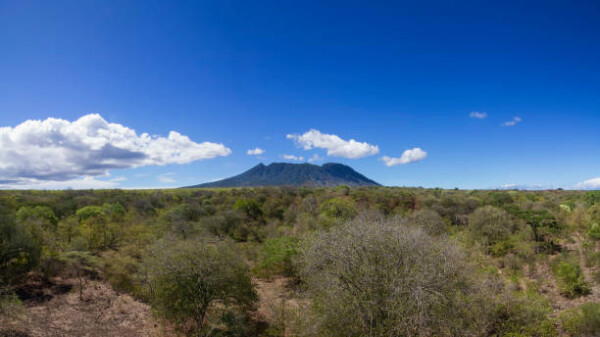 Taman Nasional Baluran