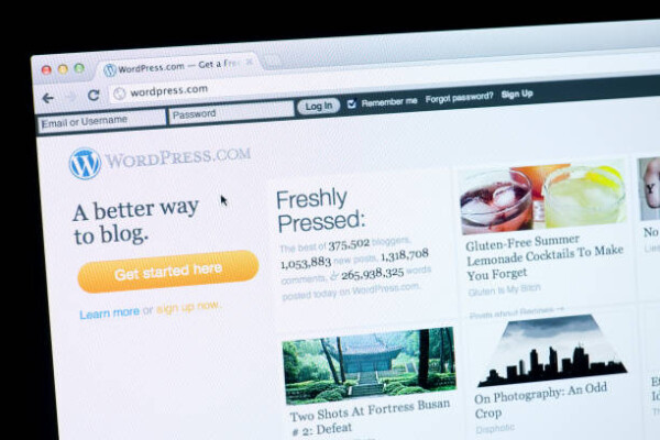Membangun Website WordPress Sendiri