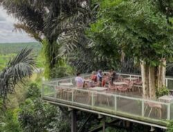 Taman Botani Sukorambi, Surga Wisata Alam dengan Wahana Menarik di Jember