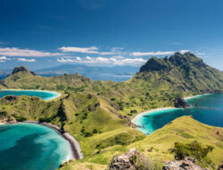 Panduan Liburan Seru ke Pulau Komodo, Tips dan Rekomendasi