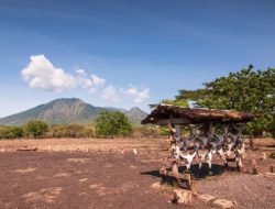 Harga Tiket Masuk Taman Nasional Baluran Resmi Naik