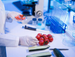 Peran Vital Ilmu Kimia dalam Teknologi dan Pengelolaan Pertanian