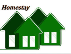 6 Tips Pilih Homestay Terbaik: Nyaman, Hemat, dan Bebas Drama!