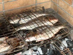 Rahasia Ikan Bakar Lezat: Mudah, Sehat, dan Menggoda