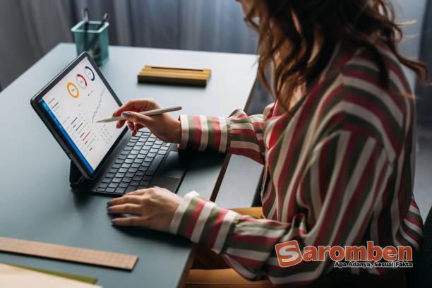 sistem akuntansi online