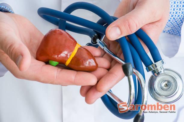 kesehatan liver