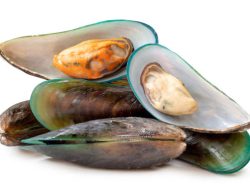 6 Manfaat Kerang Hijau untuk Tumbuh Kembang Anak