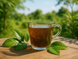 Minum Rebusan Daun Tiap Hari Bisa Rusak Fungsi Ginjal