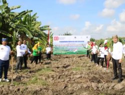 280 Bibit Kelapa Ditanam di SAE Lapas Banyuwangi, Kalapas: Dukung Ketahanan Pangan