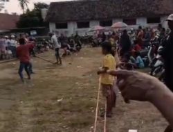 Tarik Tambang Meriahkan HUT RI ke-80 di Desa Curahtakir