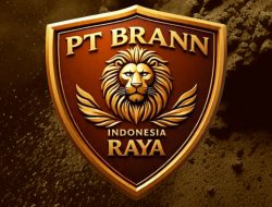 PT. BRANN INDONESIA RAYA Why Debt Collections and Debt Collectors Matter