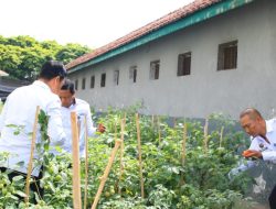Lapas Banyuwangi Sulap Brandgang Jadi Lahan Pertanian Produktif