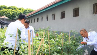 Lapas Banyuwangi Sulap Brandgang Jadi Lahan Pertanian Produktif