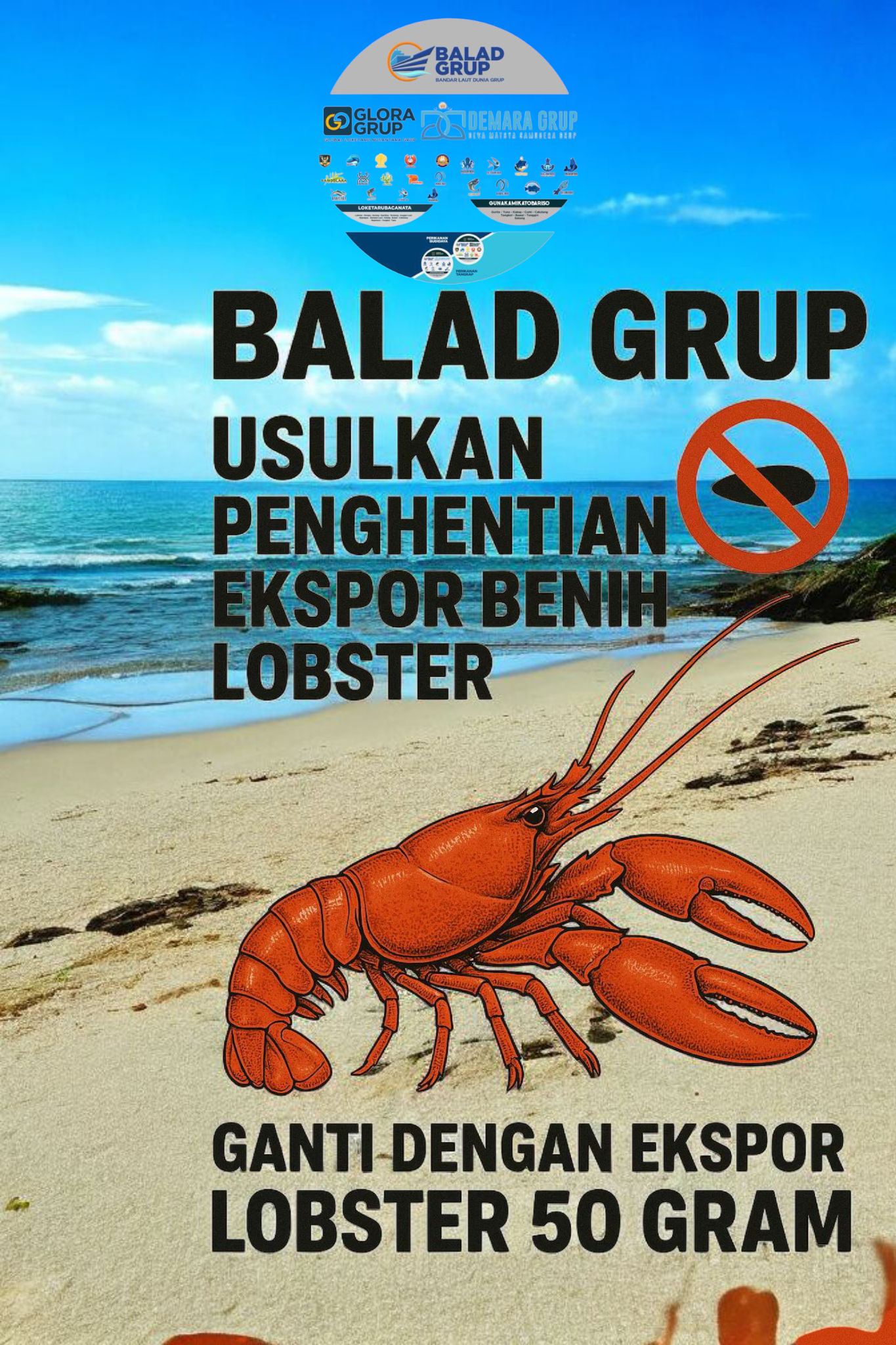 Ekspor lobster 50 gram