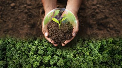 DLH Melawi, Penggerak Utama Pelestarian Alam Lokal