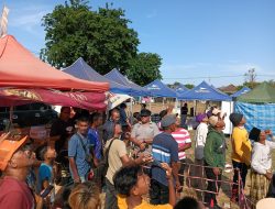 Festival Lajengan Lomok 2025: Langit Kendit Situbondo Kembali Berwarna, Tradisi Madura yang Tak Lekang Zaman