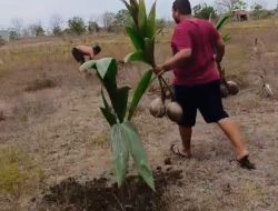 Dari Situbondo untuk Dunia: Arief Ma’ruf Riscahyono dan Mimpi Besar Menjadikan Indonesia Raja Kelapa Global