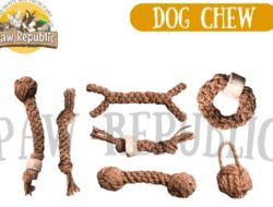 Rekomendasi Perlengkapan Hewan Terlengkap di Paw Republic