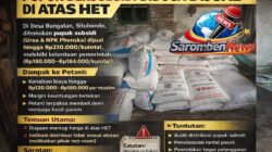 Jejak Selisih Harga Pupuk Bersubsidi di Bungatan: Dari Rp30 Ribu per Kuintal hingga Dugaan Penyimpangan Distribusi