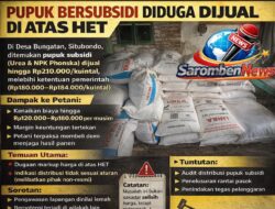 Jejak Selisih Harga Pupuk Bersubsidi di Bungatan: Dari Rp30 Ribu per Kuintal hingga Dugaan Penyimpangan Distribusi