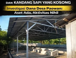 Kandang Sunyi, Dana Rp282 Juta Dipertanyakan: Jejak BUMDes Paowan di Bawah Sorotan