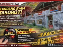 Bau Menyengat dari Kandang Ayam di Arjasa Picu Sorotan, LSM Pertanyakan Legalitas PT Inko Organik Jaya