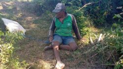 Arti Penting Persaudaraan di Tengah Ketidakberdayaan, Pak Surais Bertahan Hidup Seorang Diri di Pegunungan Peleyan, Kapongan