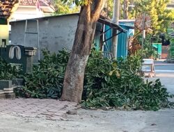 Polemik Sampah Ranting Mangga di Mimbaan Situbondo, Didik Gondrong dan DLH Beri Klarifikasi