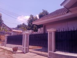 Diduga Tanam Ganja di Dalam Rumah, LSM Perjuangan Rakyat Situbondo: Harus Diusut Tuntas